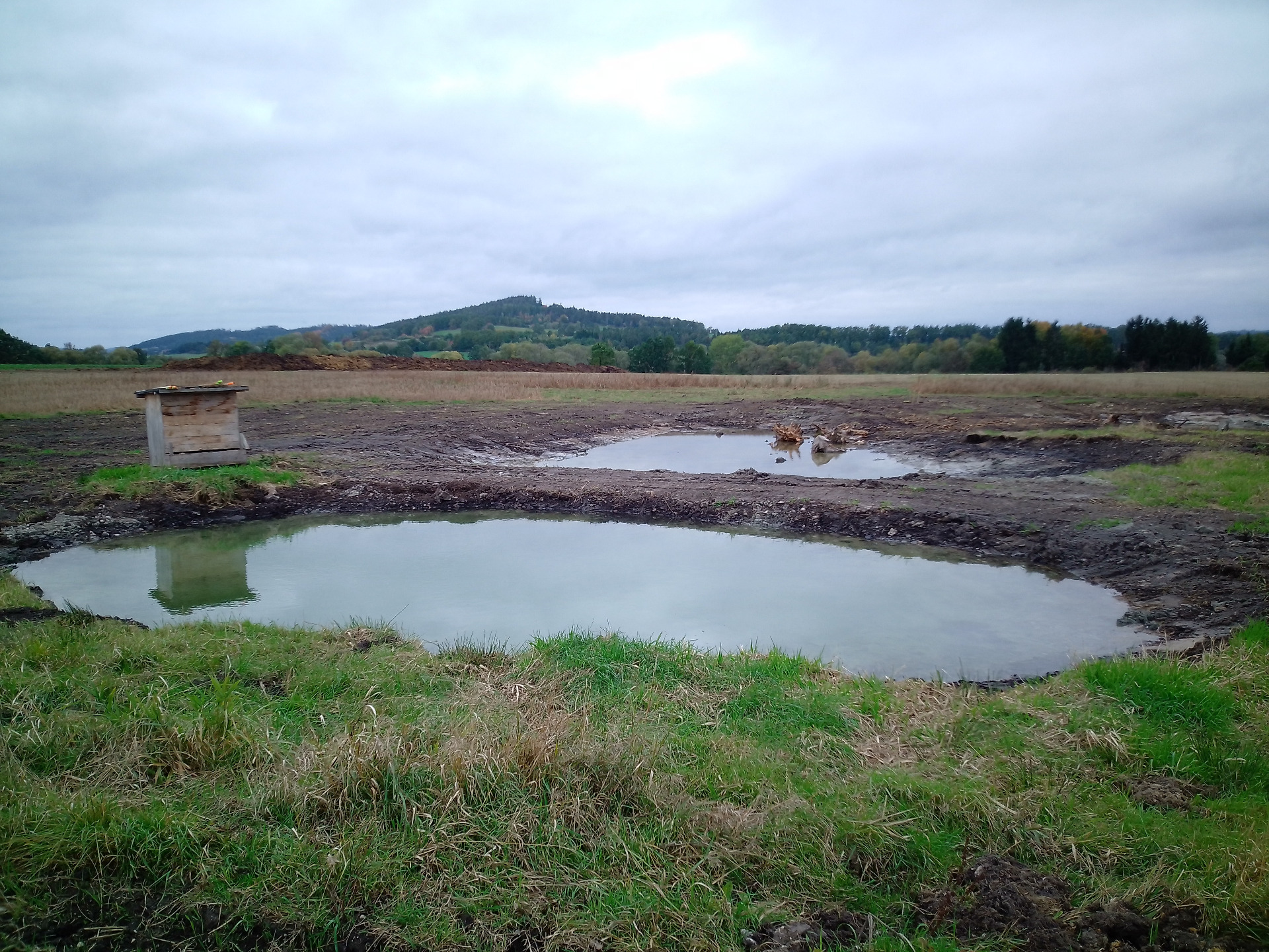 Tůně se za 2 týdny naplňují. Ve 2. tůni jsou nainstalovány pařezy, které mají sloužit jako kryt pro drobné živočichy.